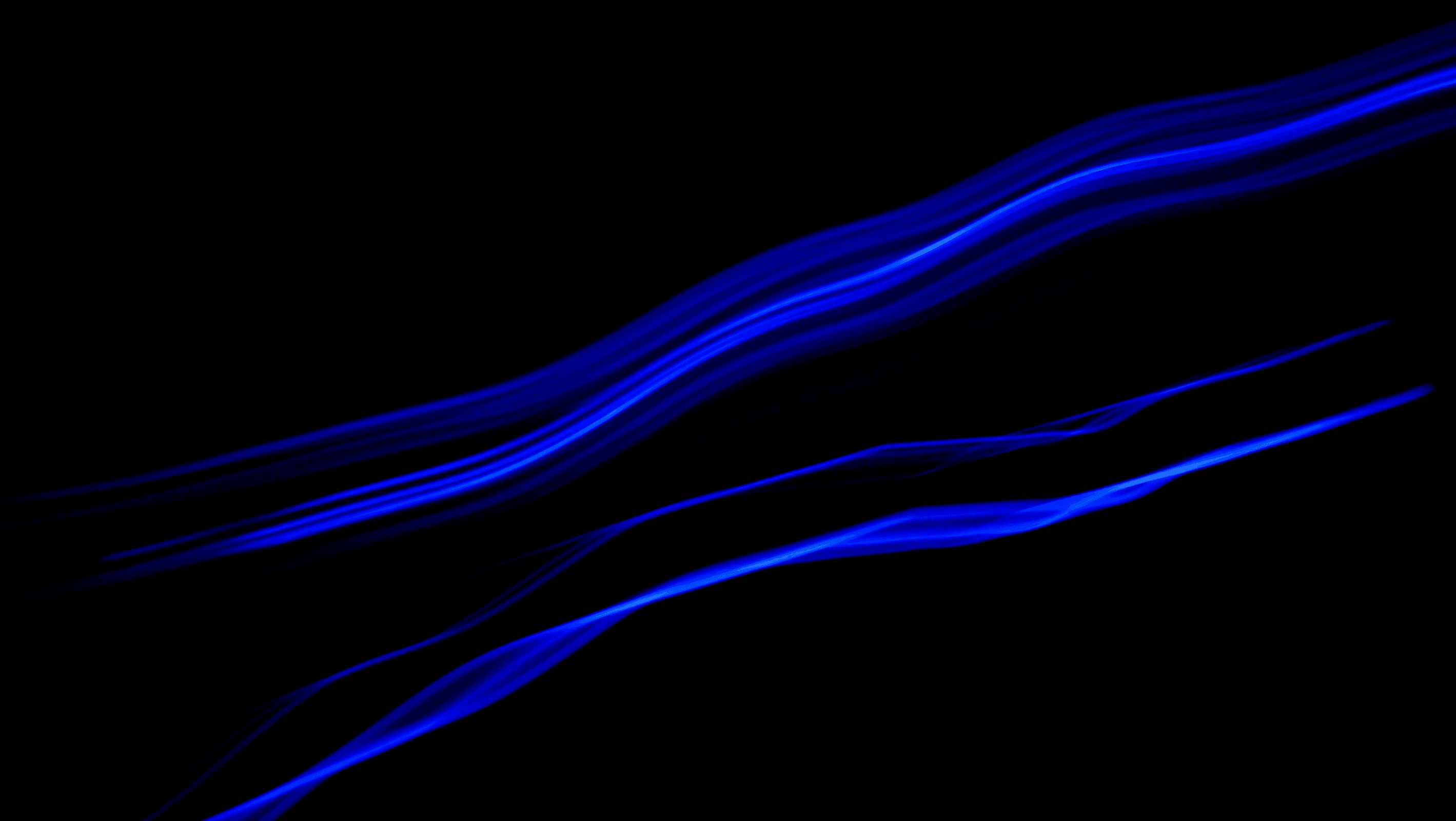 Brand protection services